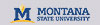 msu_logo