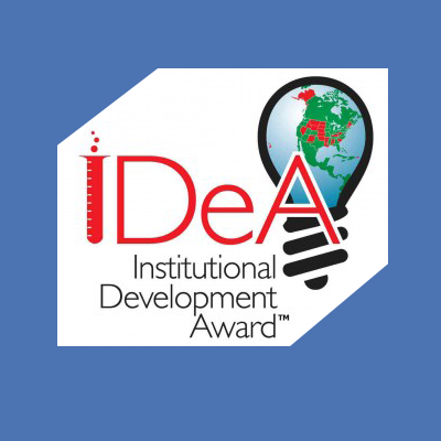idea program logo