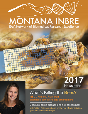 Spring 2017 Newsletter Cover